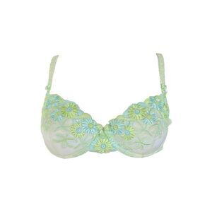 true vintage fairy embroidered bra